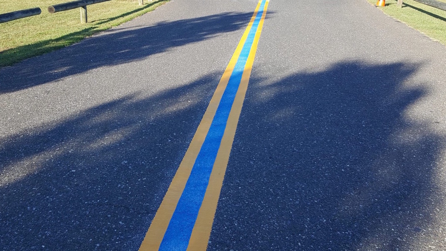 If you’ve ever see a blue line painted on the street, here’s what it means