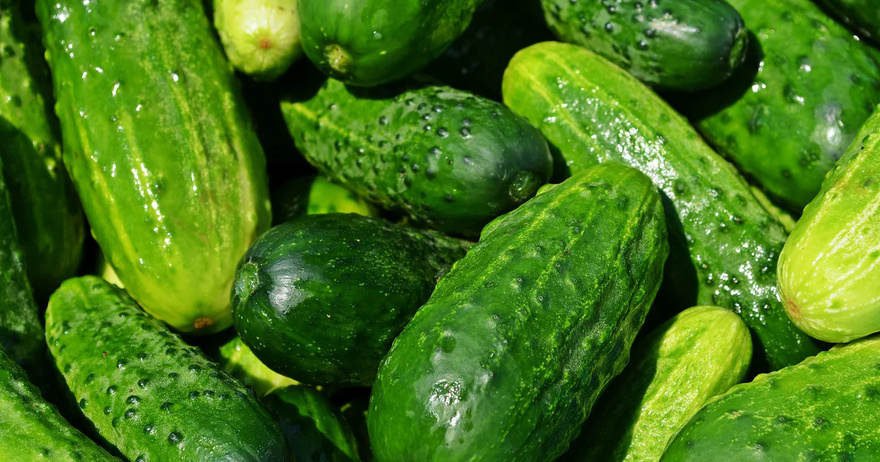 Maybe you didn’t know this: You should never eat cucumbers and tomatoes in the same salad