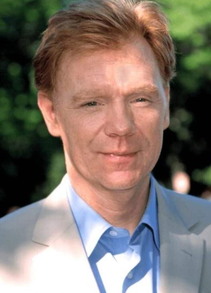 He was a true heartthrob in a famous TV Series. Today at only 68, David looks unrecognizable