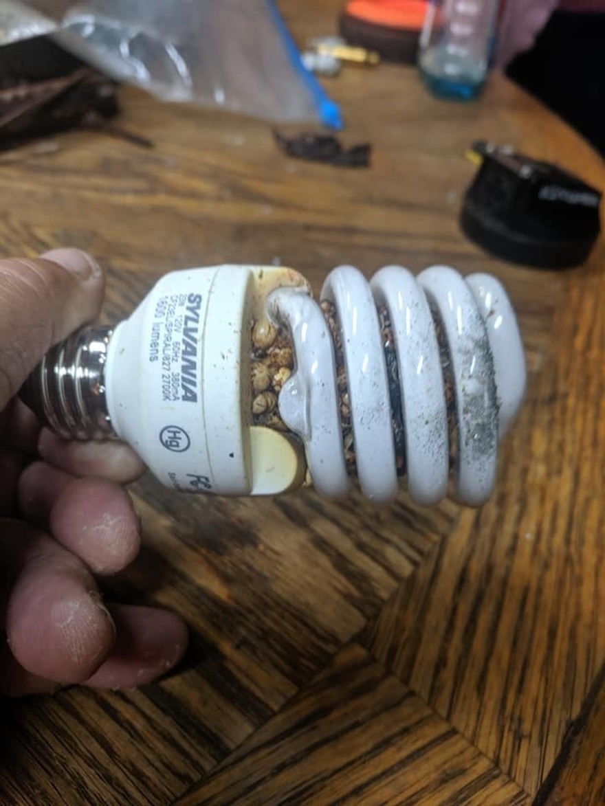 Man Warns Others After Startling Light Bulb Discovery