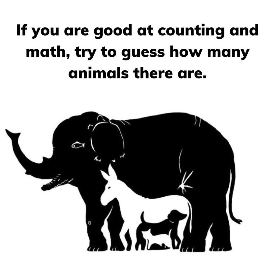 If you are good at counting and math, try to guess how many animals there are.