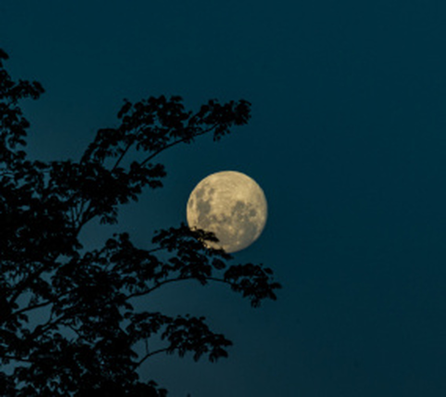 Full Moon: Do You Know What Is Really Going on in Astrology?