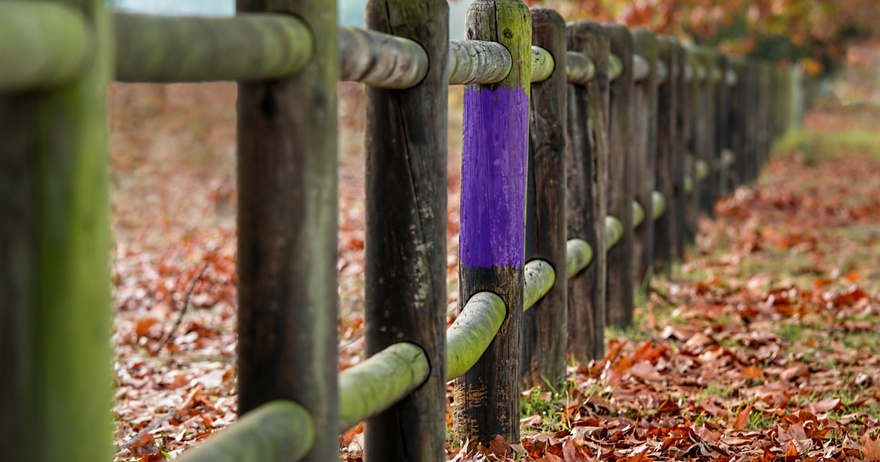 If you see a purple fence post, you need to know what it means