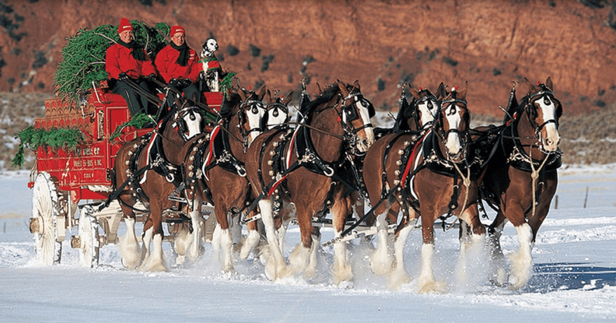 This Budweiser Christmas Commercial From 1987 Will Bring Back Memories And Leave You Smiling