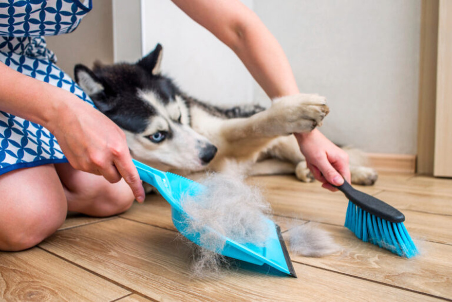 How salt and vinegar can help improve the air quality at home