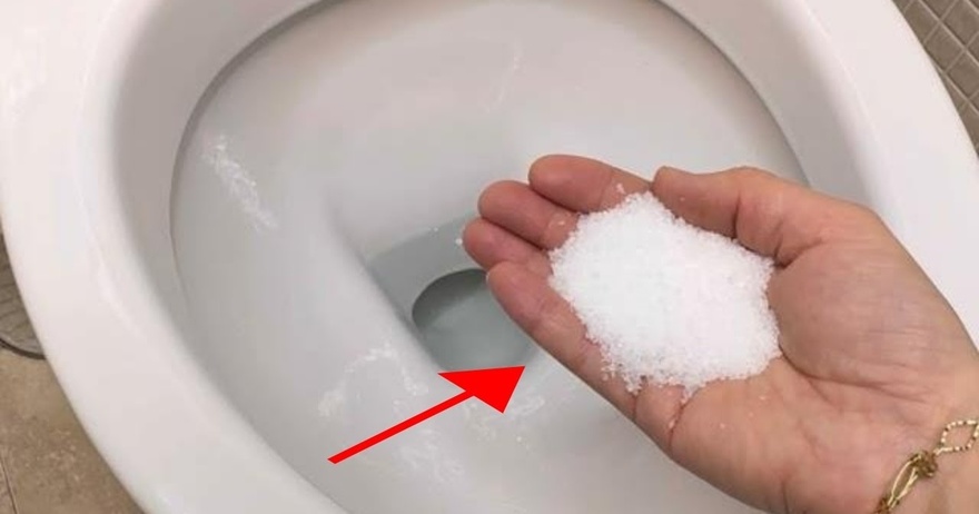 Put salt in your toilet. Here’s why. This is something plumbers will never tell you