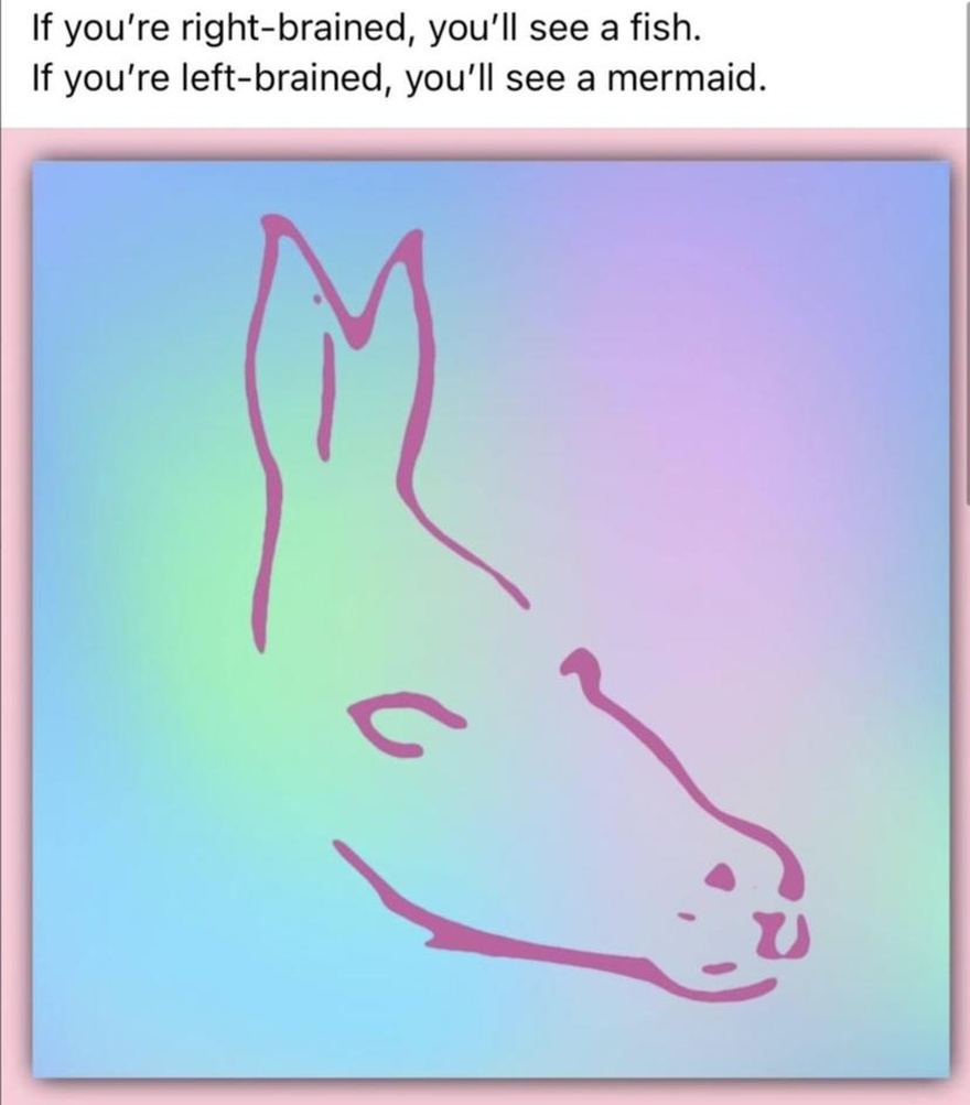 Fish, Mermaid, or Donkey? Viral Optical Illusion Stumps Viewers and Sparks Debate