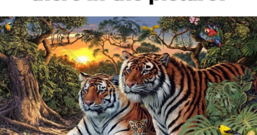 How many tigers are there in the picture?