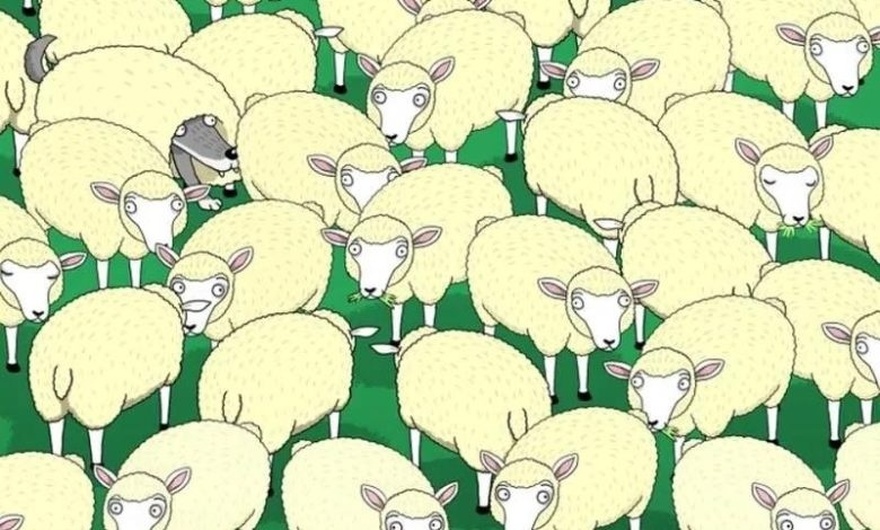 Only for smart people. Try to find the wolf hiding in the flock of sheep