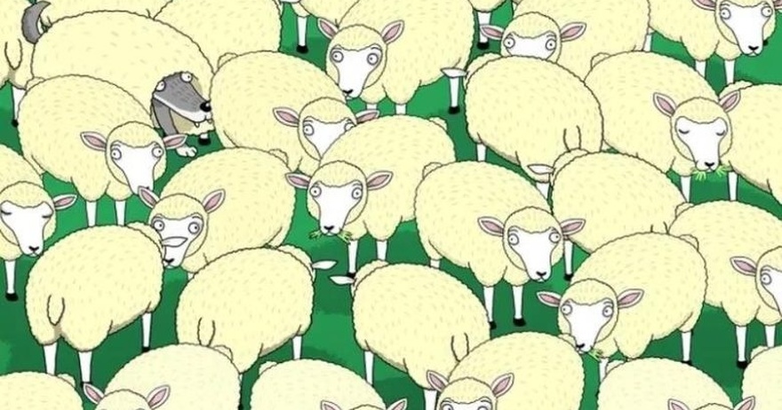 Only for smart people. Try to find the wolf hiding in the flock of sheep