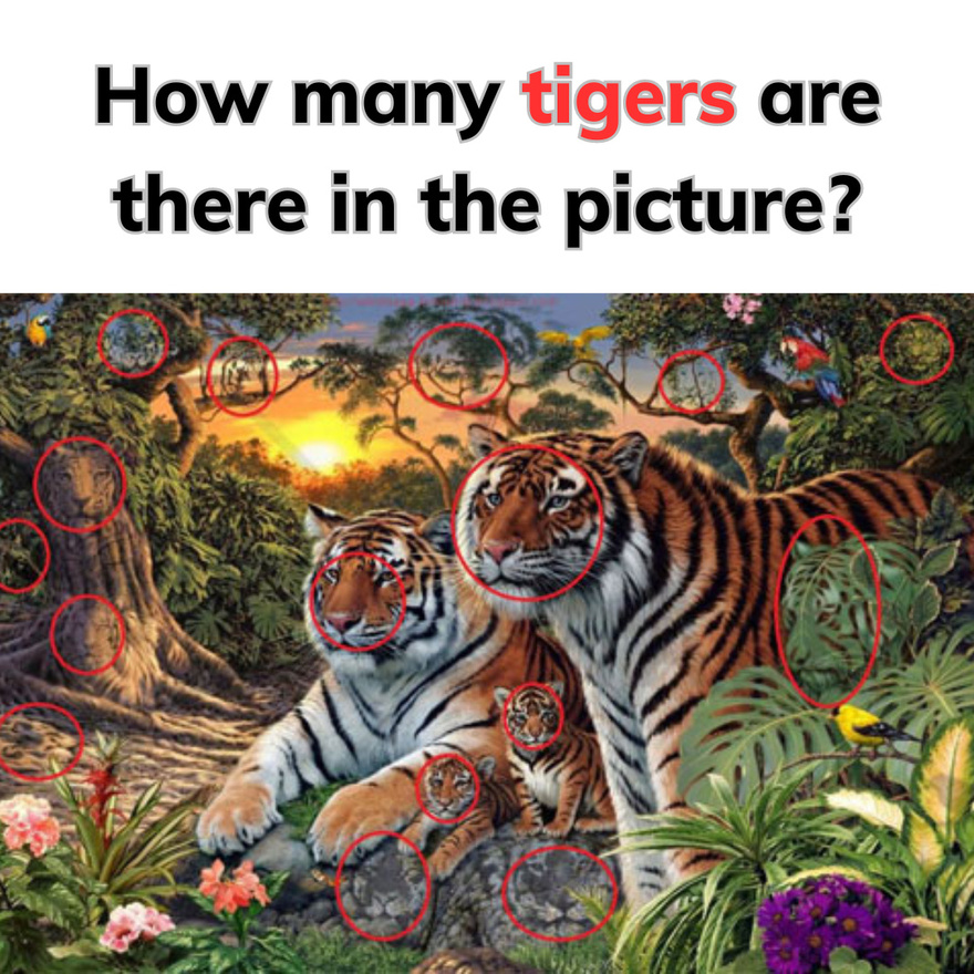 How many tigers are there in the picture?