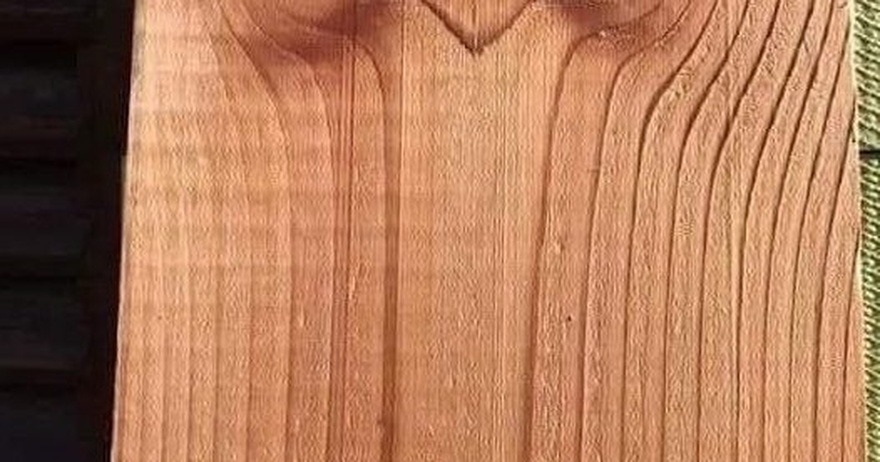 “Faces in the Woodwork: Exploring Pareidolia and Our Fascination with Patterns”