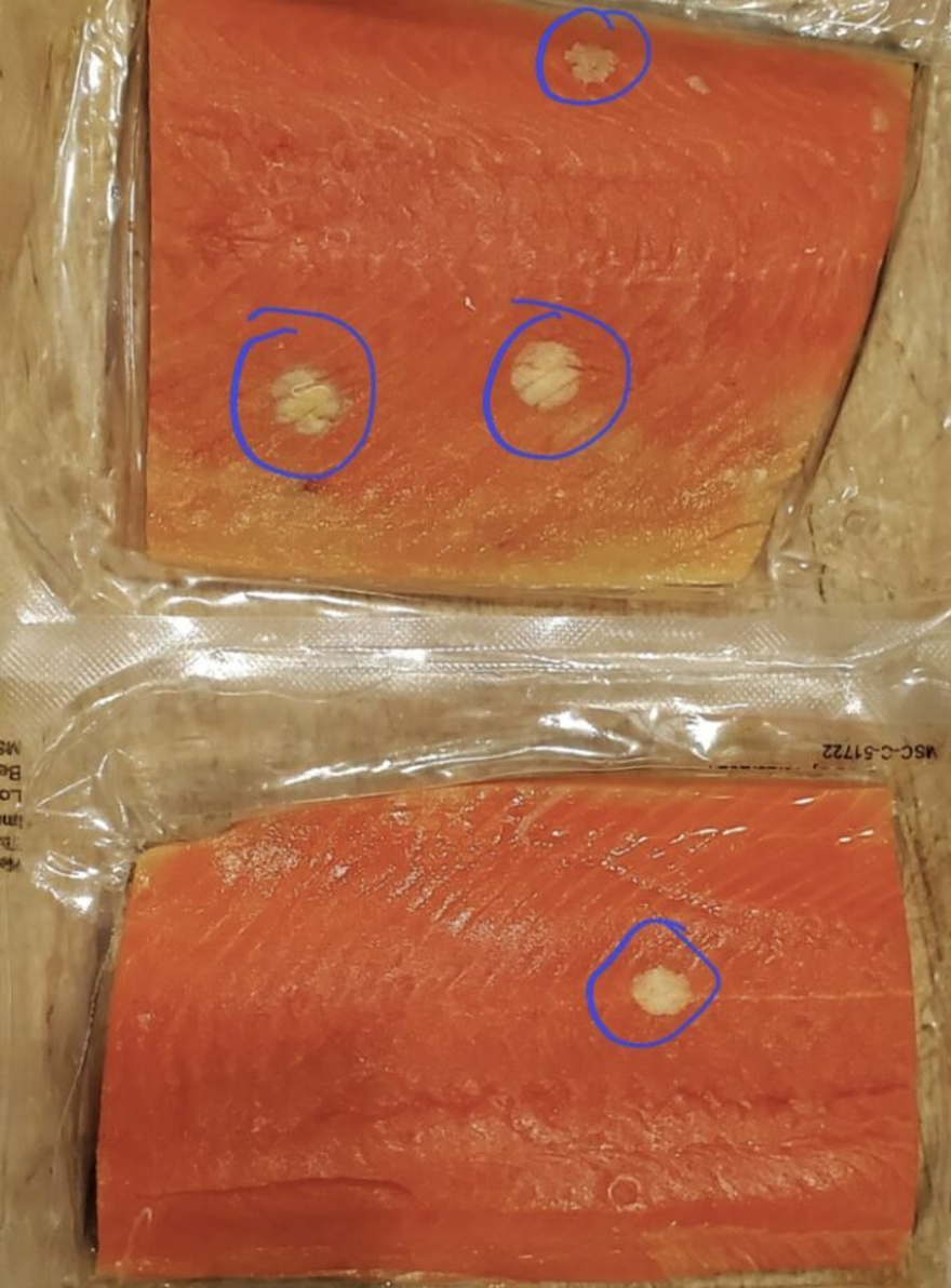 This explains why the salmon you defrosted has yellow on it.