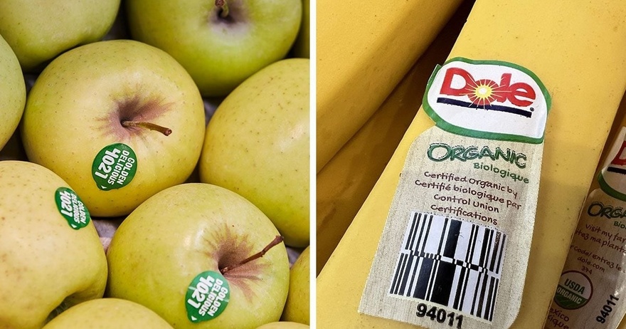 The Different Types of Fruit Labels