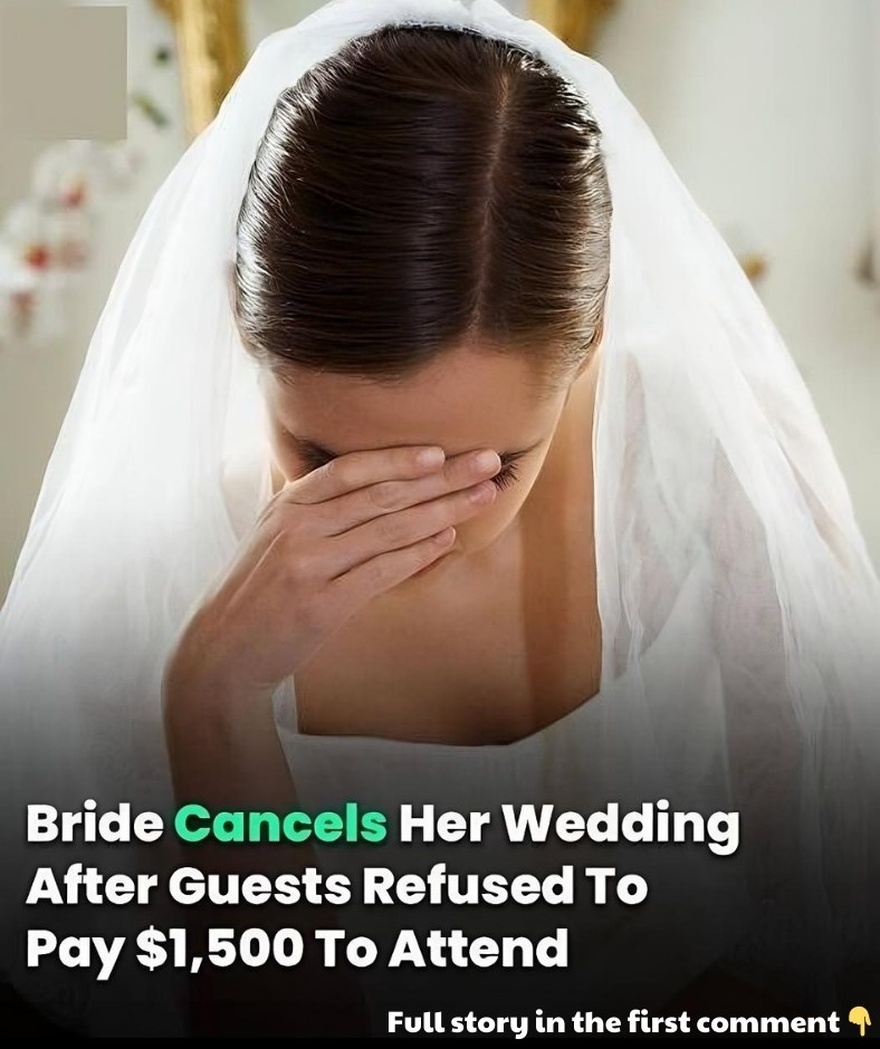 Bride Cancels Her Wedding After Guests Refused To Pay $1,500 To Attend