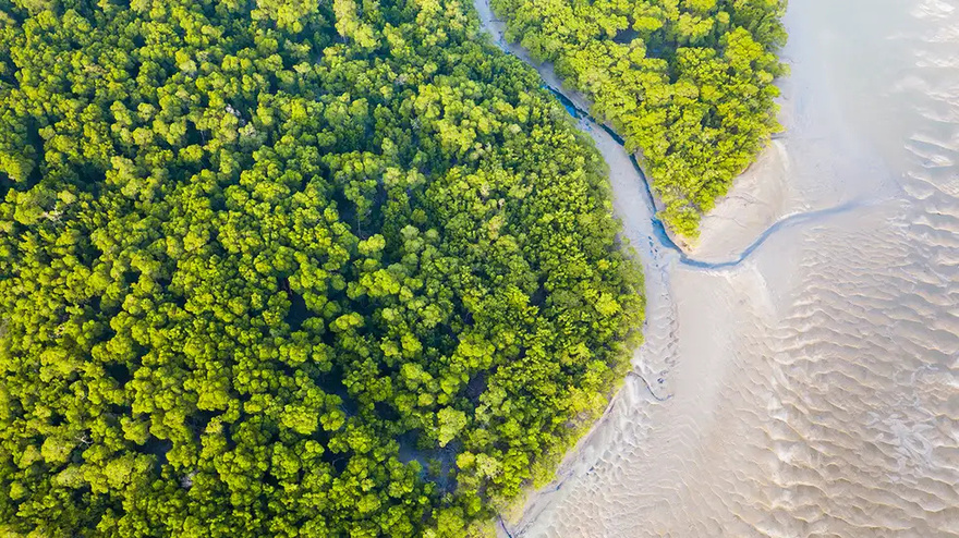 10 Of The World’s Most Dangerous Beaches