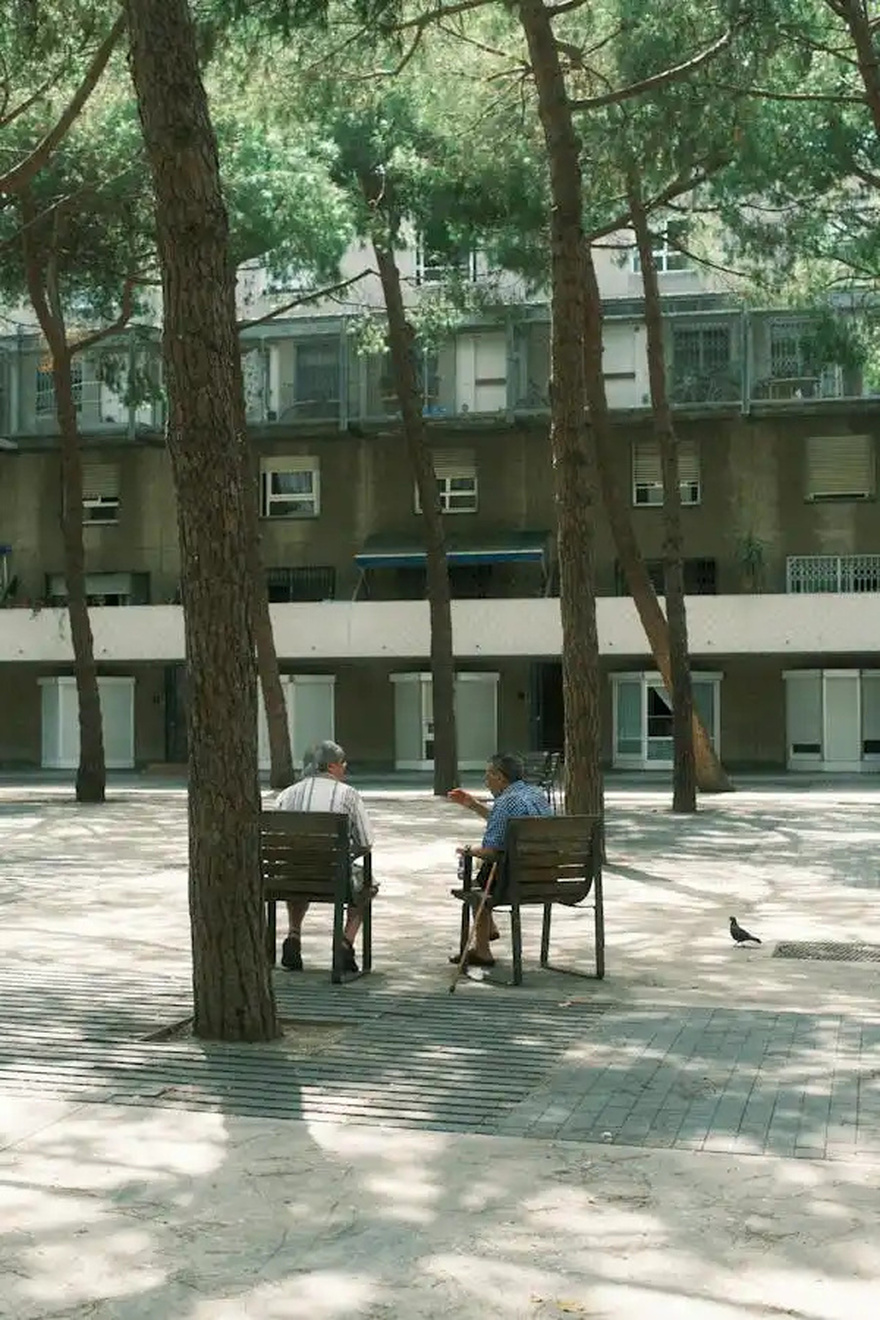 Elderly Men Sharing Laughter on a Park Bench… A Joke to Brighten Your Day