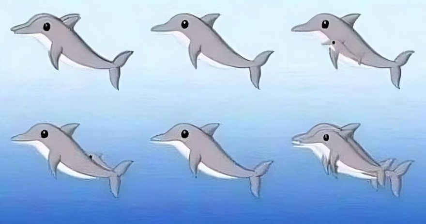 RIDDLE: How Many Dolphins Are in the Picture?