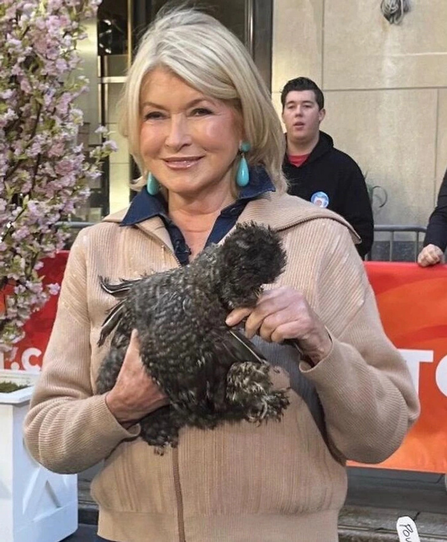 Martha Stewart, 82, Says Her Swimsuit Photos Haven’t Been Retouched