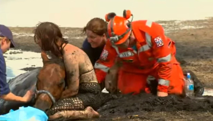 For 3 hours woman stays with trapped horse – then a farmer does everything he can to save its life