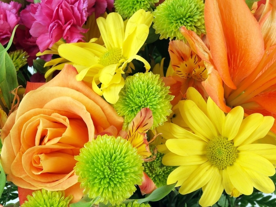 The Significance of Birthday Flowers and Their Meaning