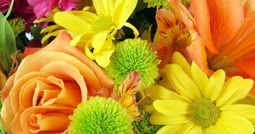 The Significance of Birthday Flowers and Their Meaning