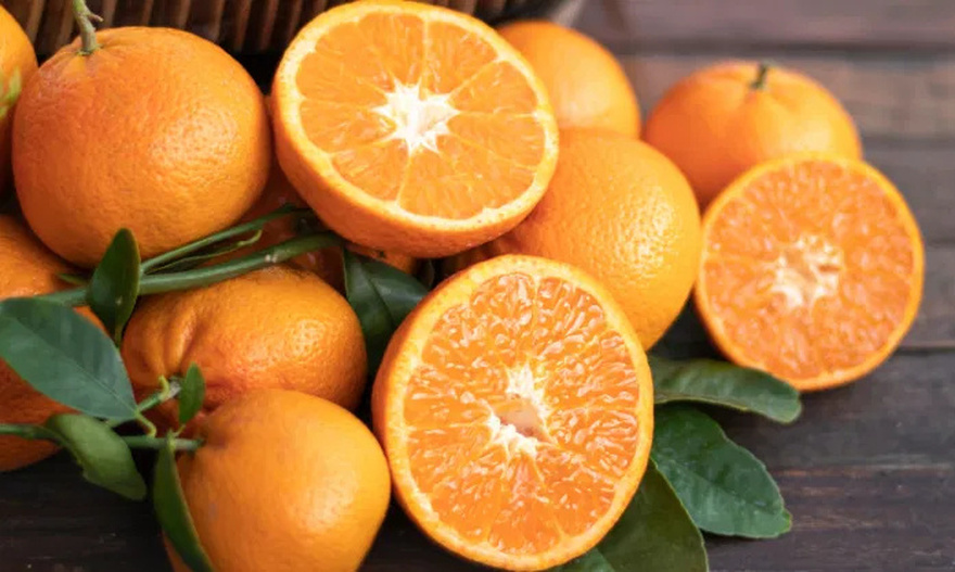 Oranges with “big navel” and “small navel” are different