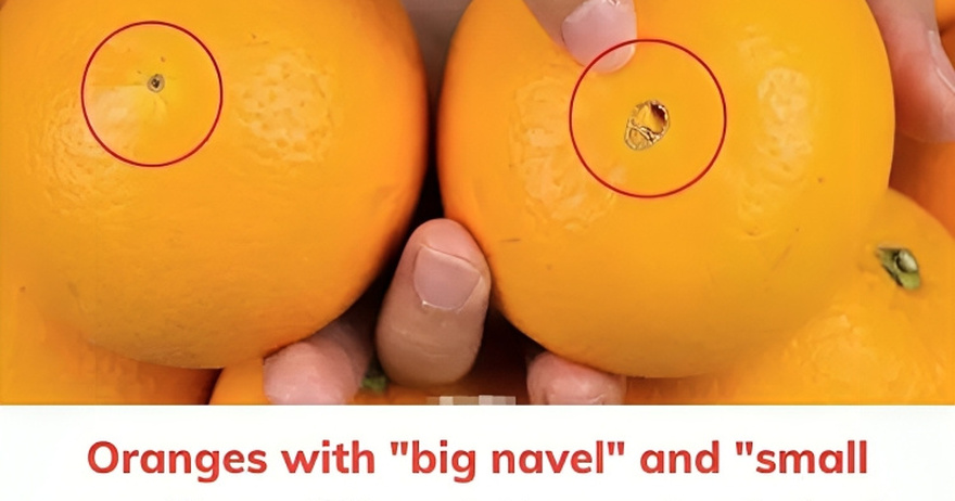 Oranges with “big navel” and “small navel” are different