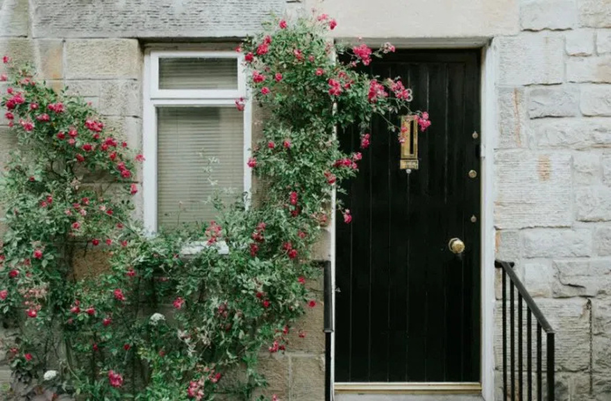 My neighbor kept hanging out her panties in front of my son’s window, so I taught her a real lesson