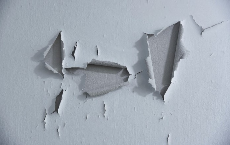 How to fix moldy or peeling walls in a few minutes without hiring a technician