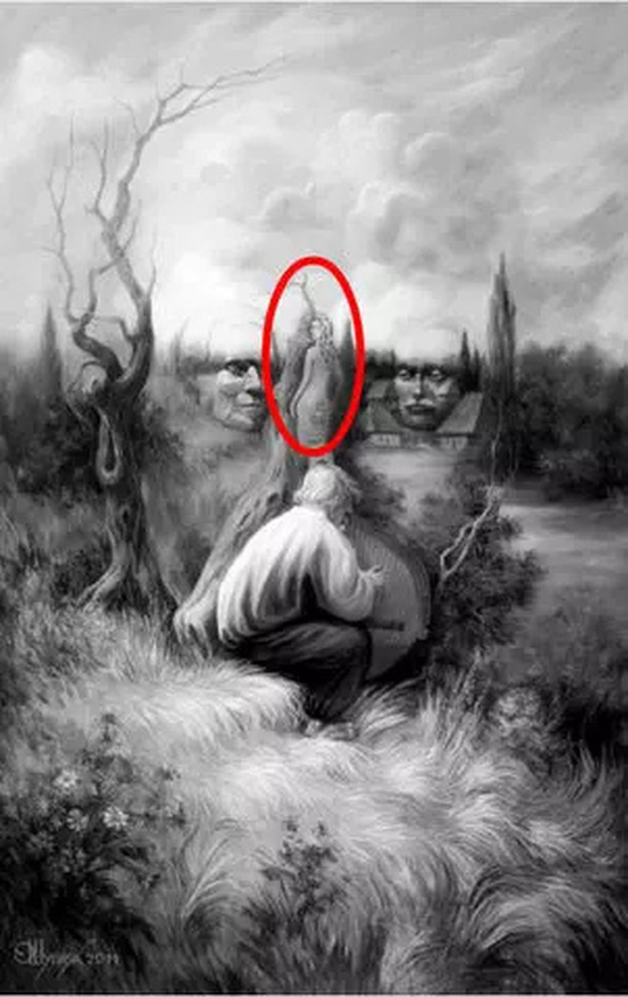 How many hidden faces in this picture