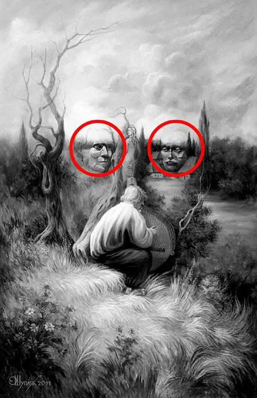 How many hidden faces in this picture