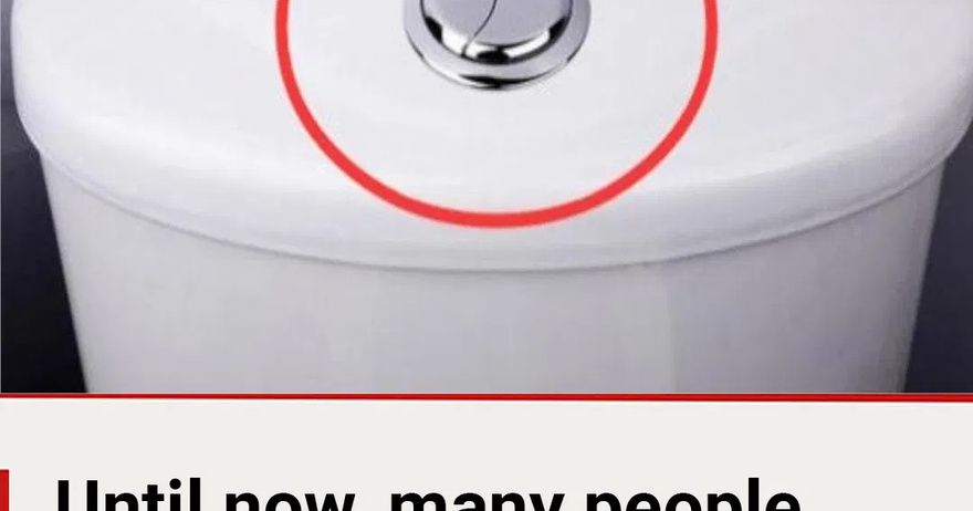 Many people still think that these 2 buttons is just for flushing