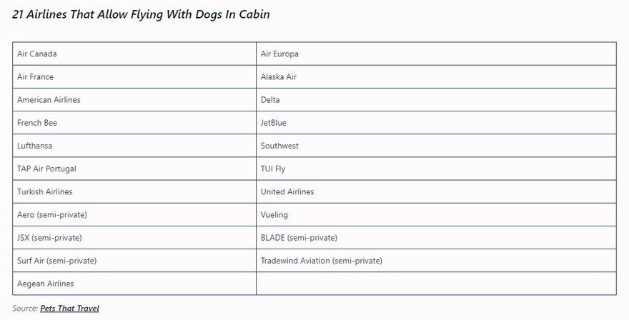 Airlines That Will Allow Dogs and Cats in The Cabin