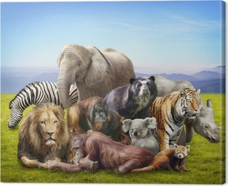 Which Animal Did You See First? Find Out What It Reveals About Your Stubborn Side!