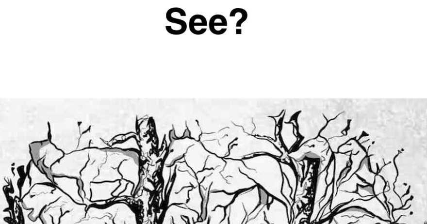 Which Animal Did You See First? Find Out What It Reveals About Your Stubborn Side!