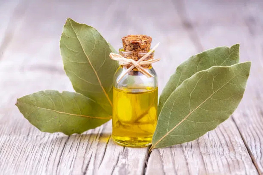 The Essential Oil That Supports Your Health in Many Ways