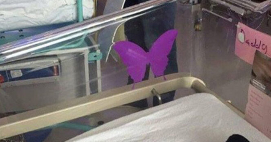 Purple butterfly sticker near newborns – here’s what it means