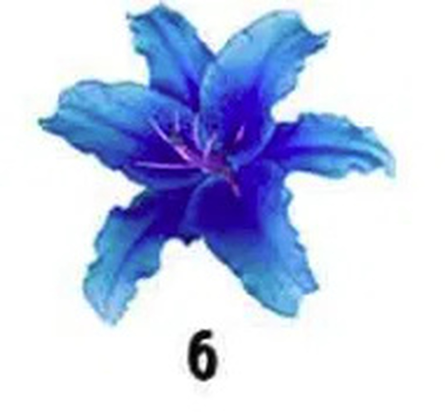 No Ch3ating. The Flower You Pick Will Reveal Your Truest Trait