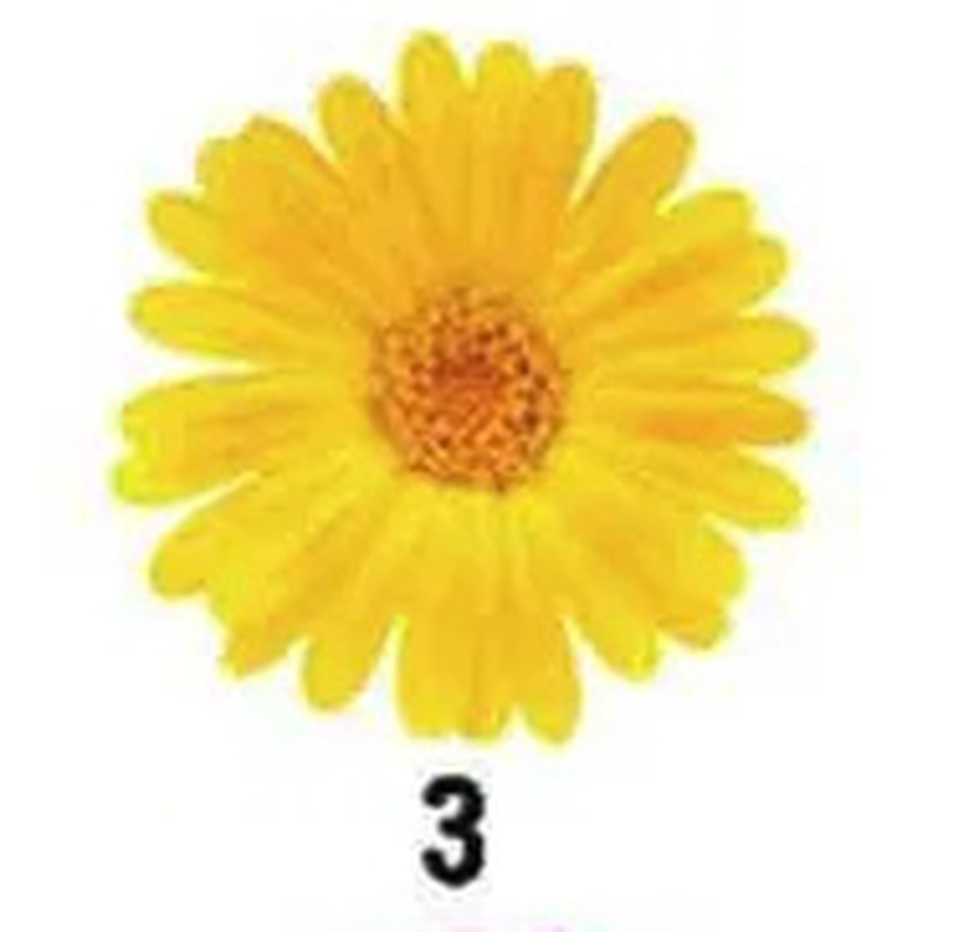 No Ch3ating. The Flower You Pick Will Reveal Your Truest Trait