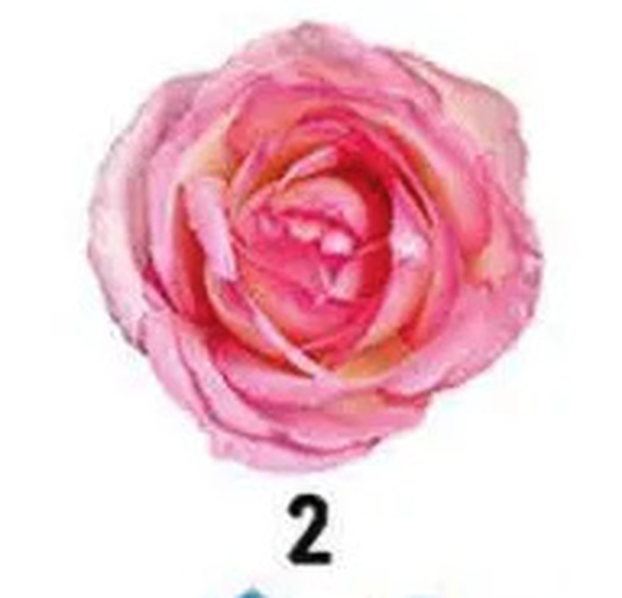 No Ch3ating. The Flower You Pick Will Reveal Your Truest Trait