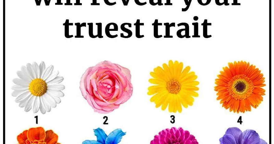 No Ch3ating. The Flower You Pick Will Reveal Your Truest Trait