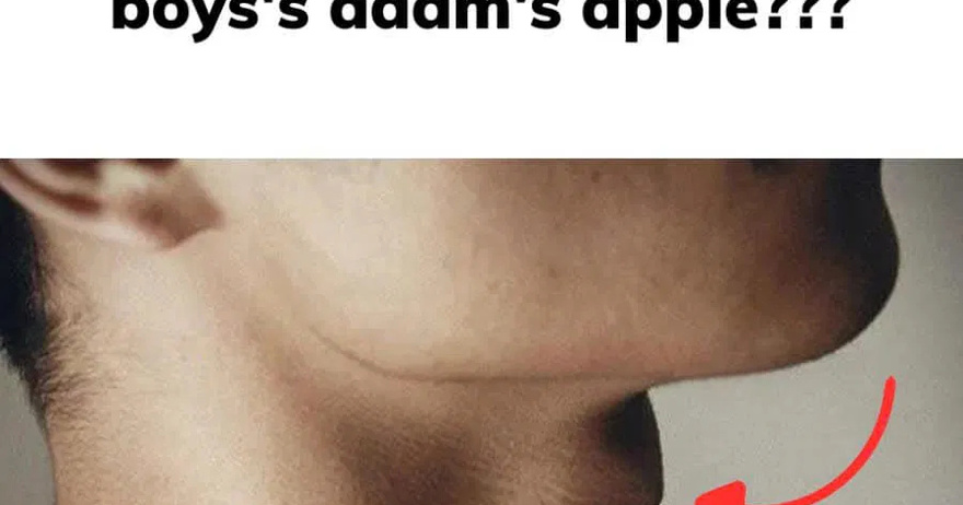 Why you should not touch boys’s adam’s apple???