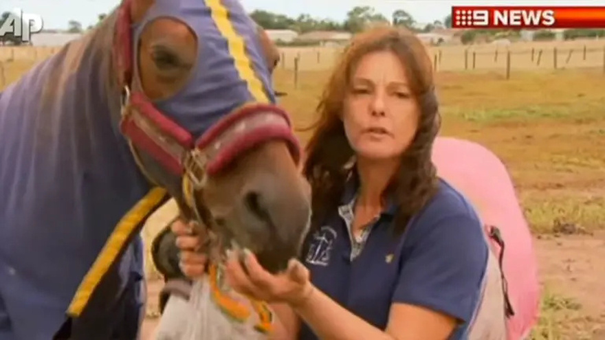 Horse weighting 900 lb gets stuck in mud – Owner clings to him for three hours