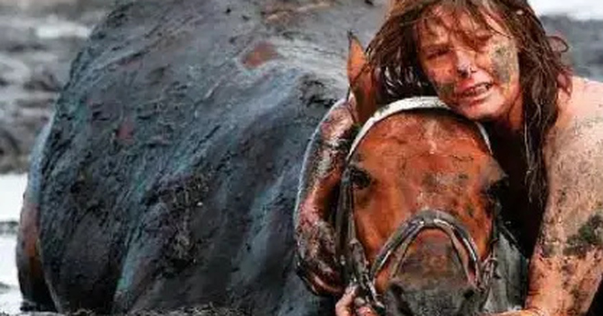 Horse weighting 900 lb gets stuck in mud – Owner clings to him for three hours