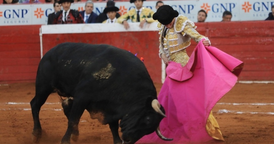 Crowd narrowly avoids injury after fighting bull leaps barrier during event in Mexico City