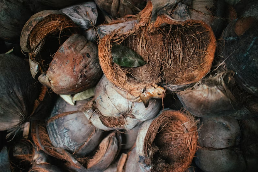 10 Unusual Uses for Coconuts