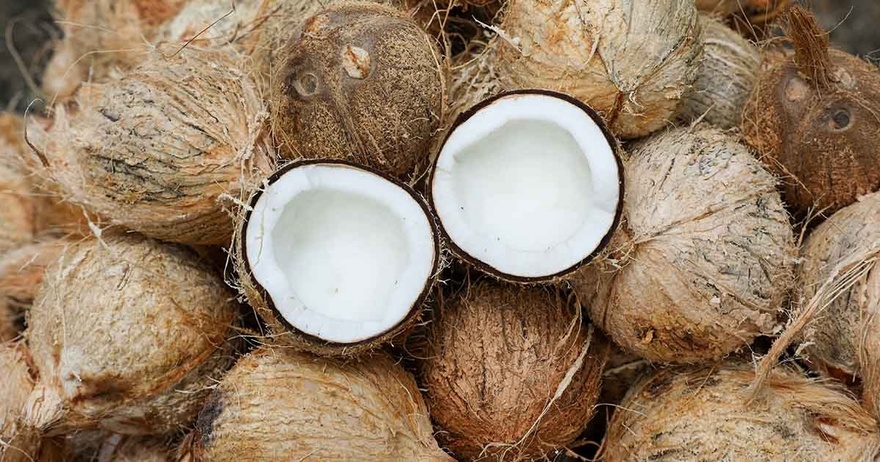 10 Unusual Uses for Coconuts