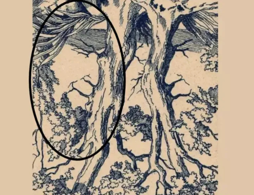 Can You Find the Hidden Faces in this Vintage Tree?