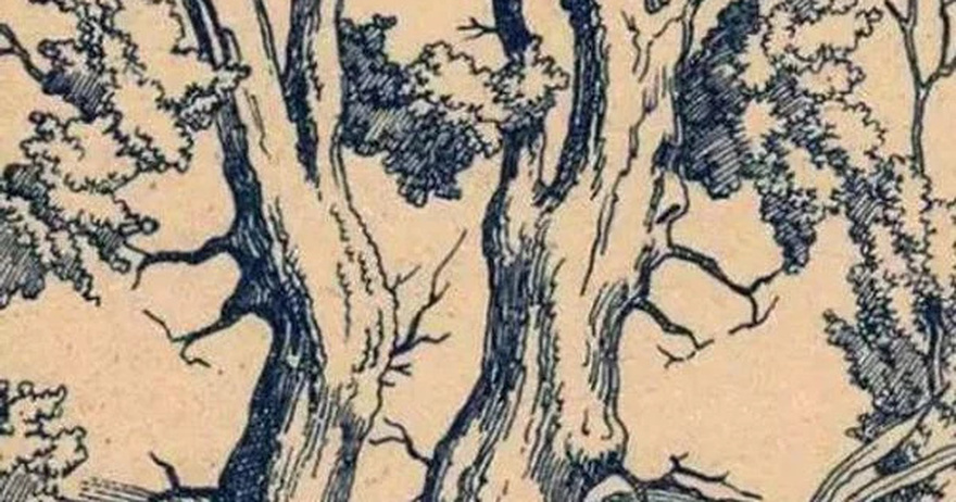 Can You Find the Hidden Faces in this Vintage Tree?